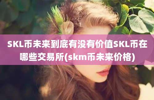 SKL币未来到底有没有价值SKL币在哪些交易所(skm币未来价格)