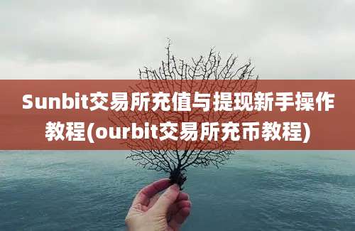 Sunbit交易所充值与提现新手操作教程(ourbit交易所充币教程)