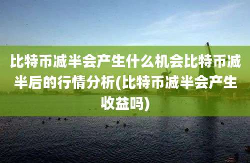 比特币减半会产生什么机会比特币减半后的行情分析(比特币减半会产生收益吗)