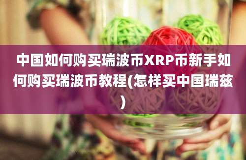 中国如何购买瑞波币XRP币新手如何购买瑞波币教程(怎样买中国瑞兹)