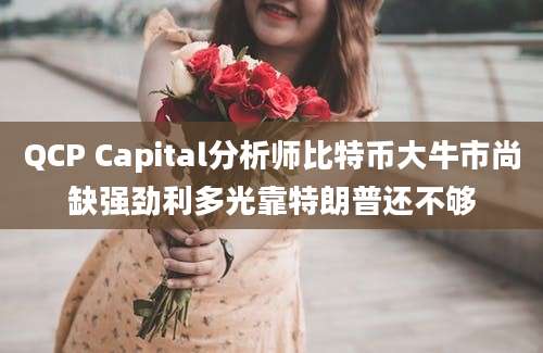 QCP Capital分析师比特币大牛市尚缺强劲利多光靠特朗普还不够