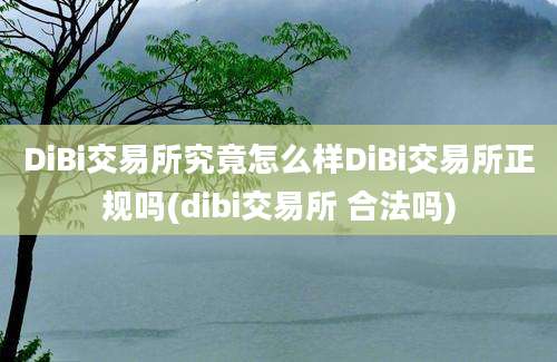 DiBi交易所究竟怎么样DiBi交易所正规吗(dibi交易所 合法吗)