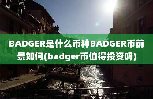 BADGER是什么币种BADGER币前景如何(badger币值得投资吗)