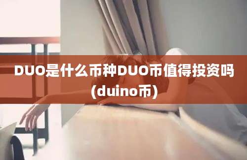 DUO是什么币种DUO币值得投资吗(duino币)