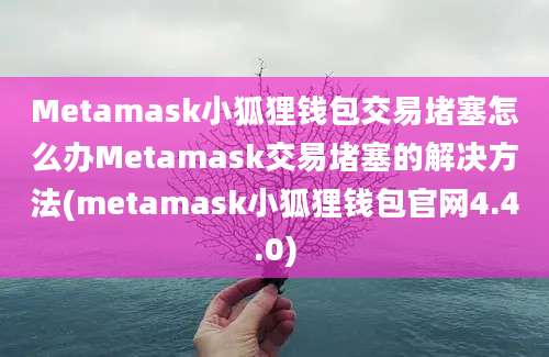 Metamask小狐狸钱包交易堵塞怎么办Metamask交易堵塞的解决方法(metamask小狐狸钱包官网4.4.0)