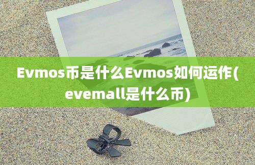 Evmos币是什么Evmos如何运作(evemall是什么币)