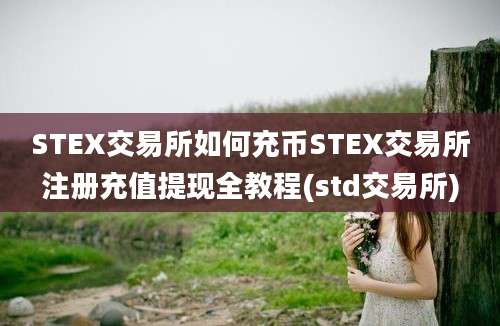 STEX交易所如何充币STEX交易所注册充值提现全教程(std交易所)