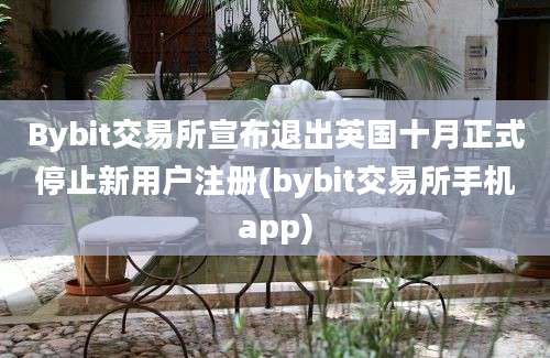 Bybit交易所宣布退出英国十月正式停止新用户注册(bybit交易所手机app)