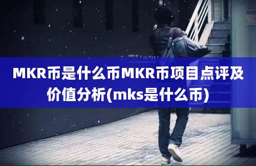 MKR币是什么币MKR币项目点评及价值分析(mks是什么币)