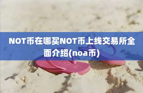 NOT币在哪买NOT币上线交易所全面介绍(noa币)