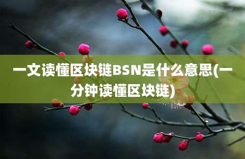 一文读懂区块链BSN是什么意思(一分钟读懂区块链)