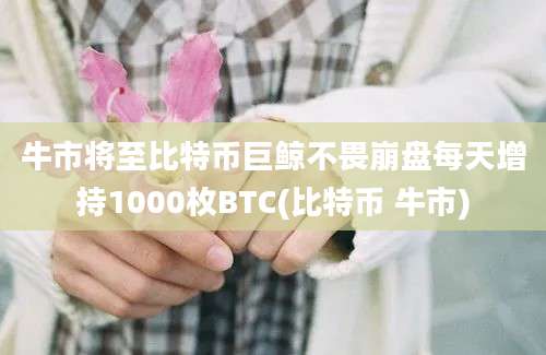 牛市将至比特币巨鲸不畏崩盘每天增持1000枚BTC(比特币 牛市)