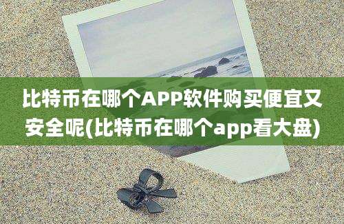 比特币在哪个APP软件购买便宜又安全呢(比特币在哪个app看大盘)