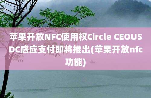 苹果开放NFC使用权Circle CEOUSDC感应支付即将推出(苹果开放nfc功能)