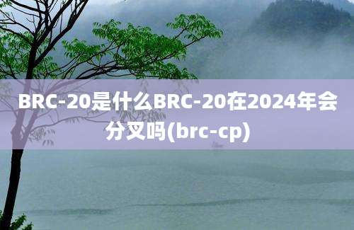 BRC-20是什么BRC-20在2024年会分叉吗(brc-cp)