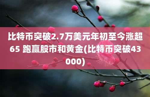 比特币突破2.7万美元年初至今涨超65 跑赢股市和黄金(比特币突破43000)