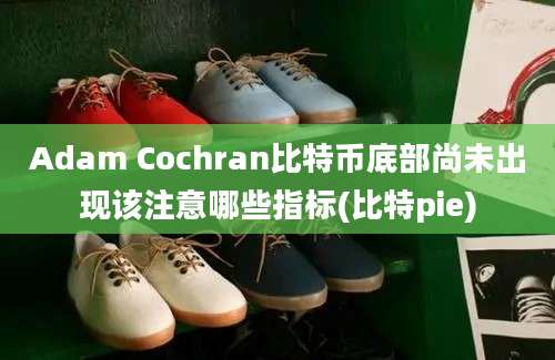 Adam Cochran比特币底部尚未出现该注意哪些指标(比特pie)