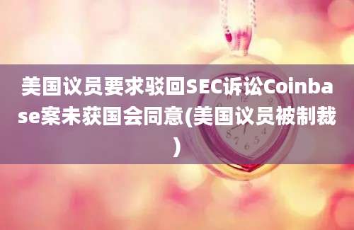 美国议员要求驳回SEC诉讼Coinbase案未获国会同意(美国议员被制裁)