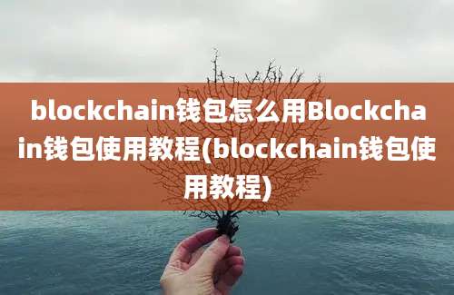 blockchain钱包怎么用Blockchain钱包使用教程(blockchain钱包使用教程)