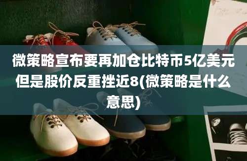 微策略宣布要再加仓比特币5亿美元但是股价反重挫近8(微策略是什么意思)