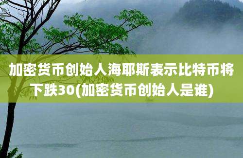 加密货币创始人海耶斯表示比特币将下跌30(加密货币创始人是谁)