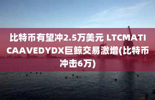 比特币有望冲2.5万美元 LTCMATICAAVEDYDX巨鲸交易激增(比特币冲击6万)