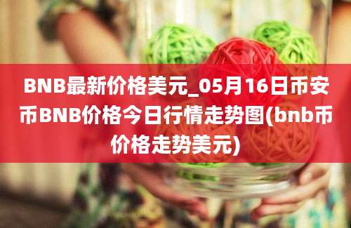 BNB最新价格美元_05月16日币安币BNB价格今日行情走势图(bnb币价格走势美元)