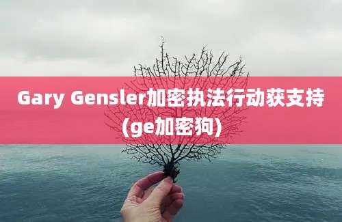 Gary Gensler加密执法行动获支持(ge加密狗)