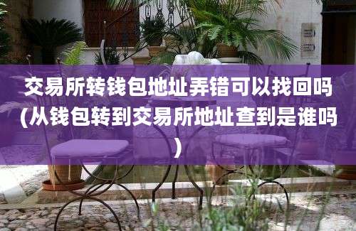 交易所转钱包地址弄错可以找回吗(从钱包转到交易所地址查到是谁吗)