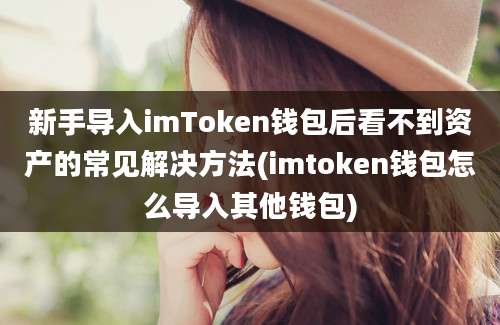 新手导入imToken钱包后看不到资产的常见解决方法(imtoken钱包怎么导入其他钱包)