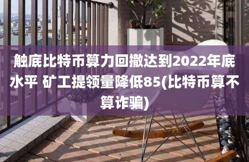 触底比特币算力回撤达到2022年底水平 矿工提领量降低85(比特币算不算诈骗)