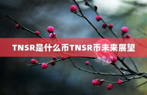 TNSR是什么币TNSR币未来展望