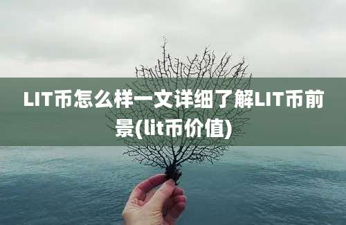 LIT币怎么样一文详细了解LIT币前景(lit币价值)