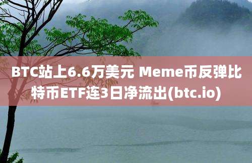 BTC站上6.6万美元 Meme币反弹比特币ETF连3日净流出(btc.io)