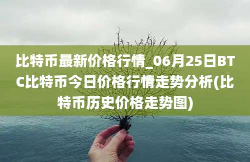 比特币最新价格行情_06月25日BTC比特币今日价格行情走势分析(比特币历史价格走势图)