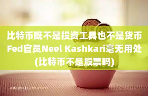 比特币既不是投资工具也不是货币Fed官员Neel Kashkari毫无用处(比特币不是股票吗)