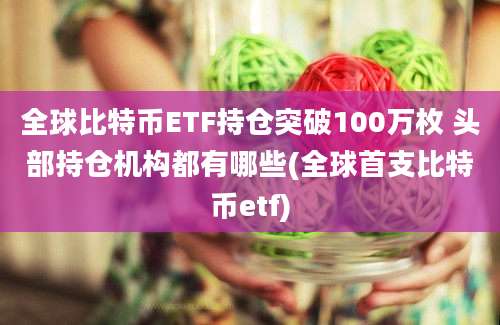 全球比特币ETF持仓突破100万枚 头部持仓机构都有哪些(全球首支比特币etf)