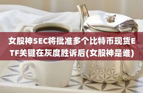 女股神SEC将批准多个比特币现货ETF关键在灰度胜诉后(女股神是谁)