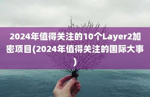 2024年值得关注的10个Layer2加密项目(2024年值得关注的国际大事)