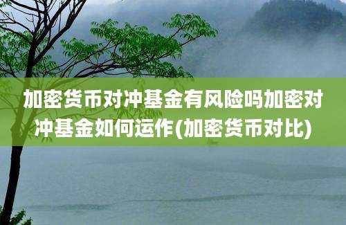 加密货币对冲基金有风险吗加密对冲基金如何运作(加密货币对比)