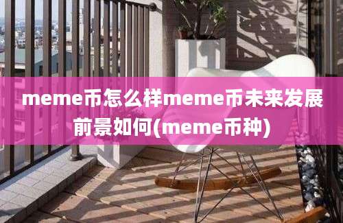 meme币怎么样meme币未来发展前景如何(meme币种)