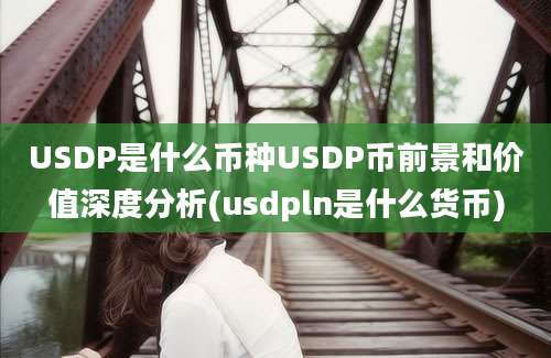 USDP是什么币种USDP币前景和价值深度分析(usdpln是什么货币)