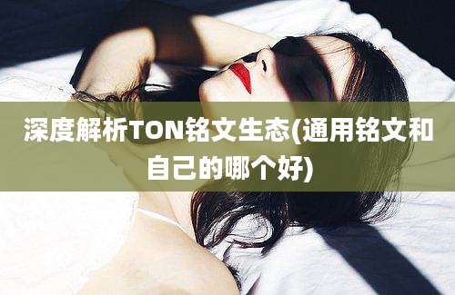 深度解析TON铭文生态(通用铭文和自己的哪个好)