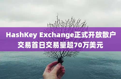 HashKey Exchange正式开放散户交易首日交易量超70万美元