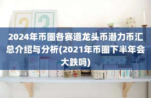 2024年币圈各赛道龙头币潜力币汇总介绍与分析(2021年币圈下半年会大跌吗)