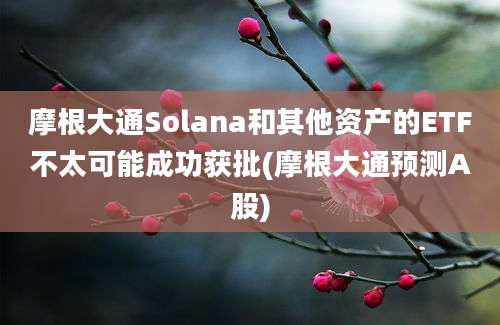 摩根大通Solana和其他资产的ETF不太可能成功获批(摩根大通预测A股)