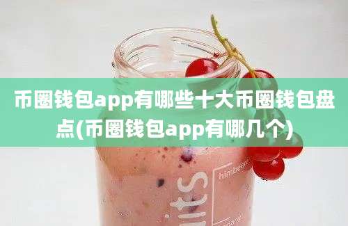 币圈钱包app有哪些十大币圈钱包盘点(币圈钱包app有哪几个)