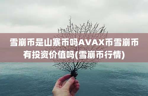 雪崩币是山寨币吗AVAX币雪崩币有投资价值吗(雪崩币行情)