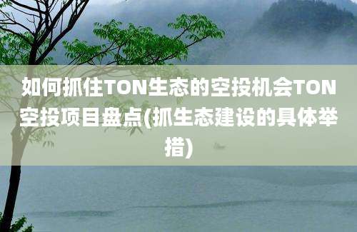 如何抓住TON生态的空投机会TON空投项目盘点(抓生态建设的具体举措)