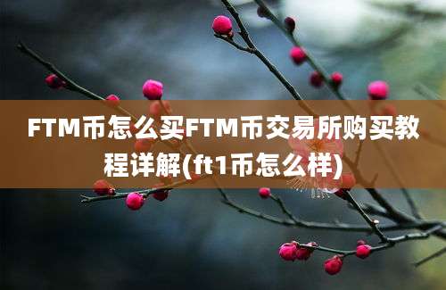 FTM币怎么买FTM币交易所购买教程详解(ft1币怎么样)